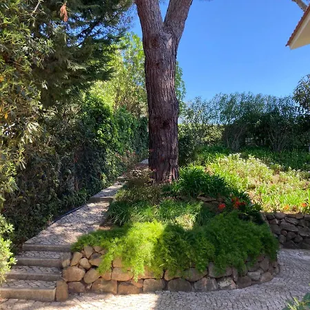 Appartement Quiet With Garden 8 Min From *