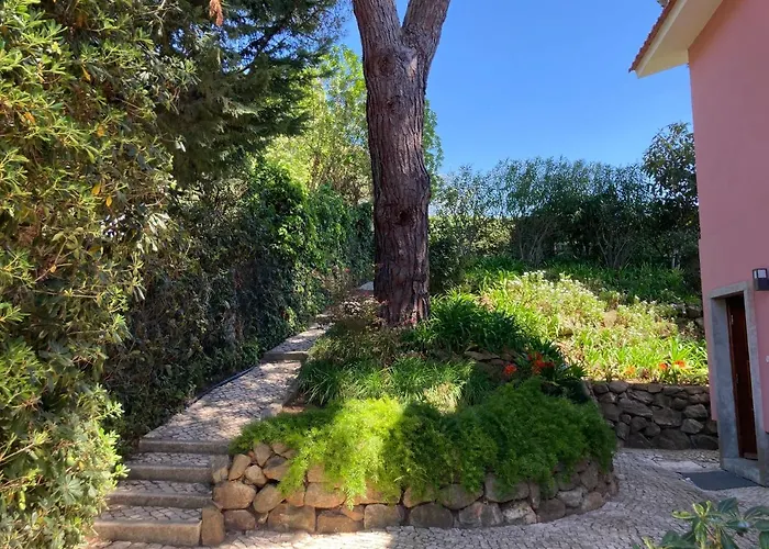 公寓 Quiet With Garden 8 Min From *
